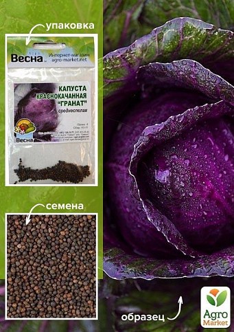 Капуста червонокачанна "Гранат" (Зипер) ТМ "Весна" 1г