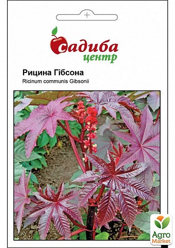 Рицина "Гибсона" ТМ "Садиба центр" 3шт