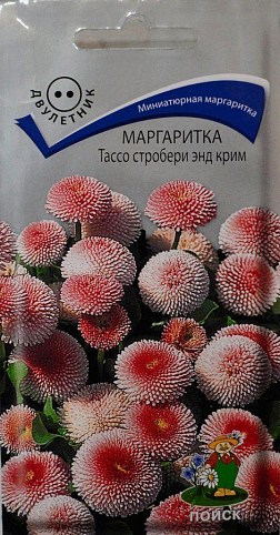 Маргаритка "Тассо Стробери энд Крим" ТМ "Поиск" 20шт