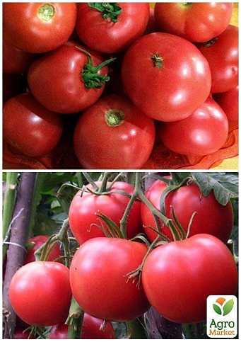На вагу Томат "Чудо ринку" ТМ "Весна" ціна за 1г - фото 4