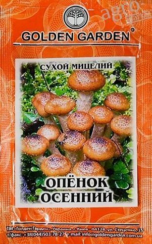Сухий міцелій "Опеньок осінній" ТМ "Golden Garden" 10г
