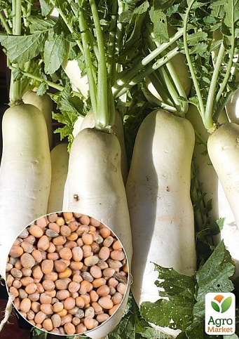 На развес Редька "Лебедка" ТМ "Весна" цена за 15г