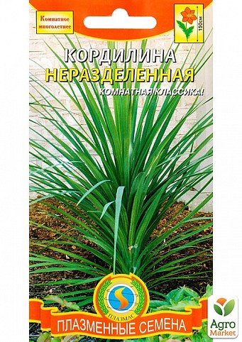 Кордилина нерозділена ТМ "Плазмові насіння" 0,1г NEW
