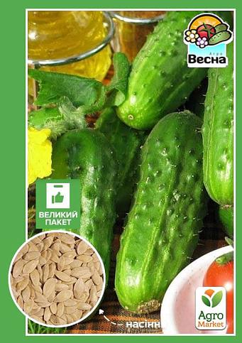 Огірок "Кущовий" (Великий пакет) ТМ "Весна" 2г