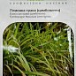 Лемонграс ТМ "Професійне насіння" 0,05г