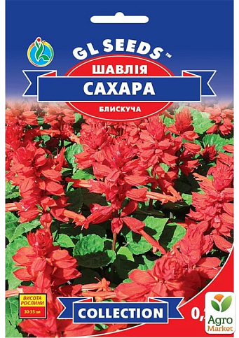 Сальвия "Сахара" ТМ "GL SEEDS" 0,2г