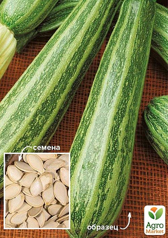 На вагу Кабачок "Матросик" ТМ "Весна" ціна за 8г