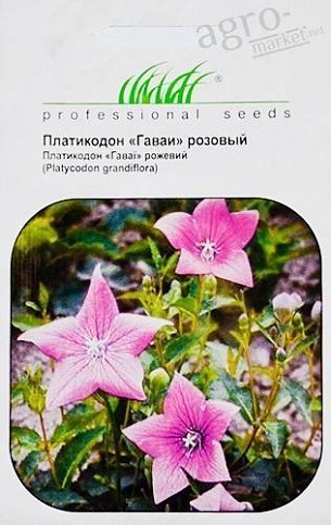 Платикодон розовый "Гаваи" ТМ "Hem Zaden" 0.1г