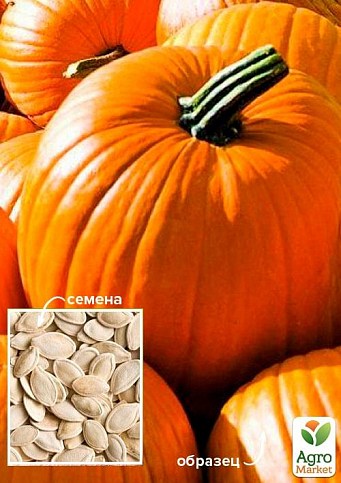 Тыква "Ранняя сахарная" ТМ "Весна" 100г