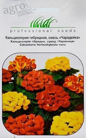 Кальцеолярія гібридна суміш "Чародійка" ТМ "HEM Zaden" 0.005г