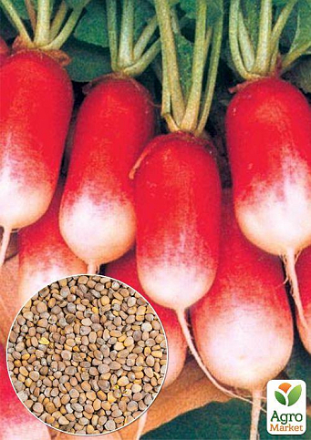 На развес Редис "Базис" ТМ "Весна" цена за 10г