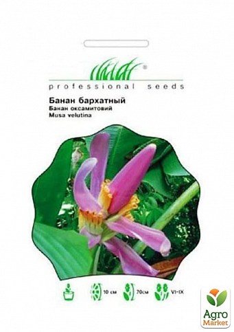 Банан декоративный "Бархатный" МТ "Hem Zaden"