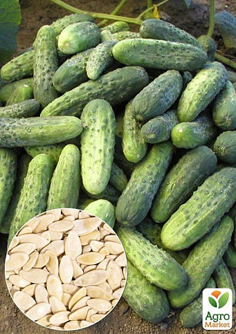 На развес Огурец "Пальчик" ТМ "Весна" цена за 2г