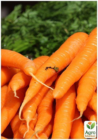 На развес Морковь "Регульская" ТМ "Весна" цена за 10г - фото 3