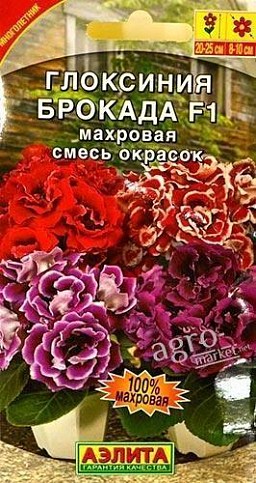 Глоксиния "Брокада F1" махровая смесь окрасок ТМ "АЭЛИТА" 5шт