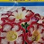 Глоксиния "Красные чернила" ТМ "Урожай у дачи" 3шт