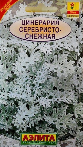 Цинерарія "Сріблястий-сніжна" ТМ "Аеліта" 0.1г