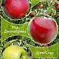 Дерево-сад Яблоня "Грин Стар+Ред Джонапринц+Фуджи" 