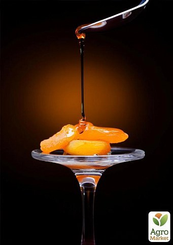 Абрикос "Зоряный" - фото 3