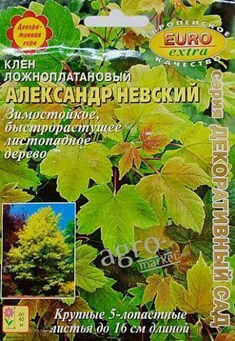 Клен ложноплатановый "Александр Невский" ТМ "Аэлита" 0.6г