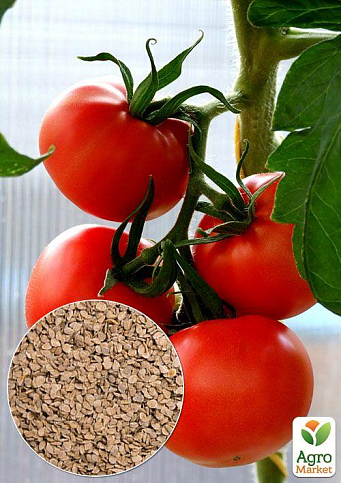 На развес Томат "Гибрид Тарасенко 2" ТМ "Весна" цена за 1г