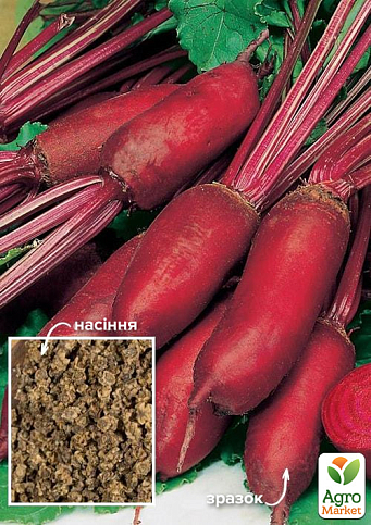 На развес Свекла "Генеральская" ТМ "Весна" цена за 10г