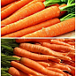 На развес Морковь "Долянка" ТМ "Весна" цена за 10г цена