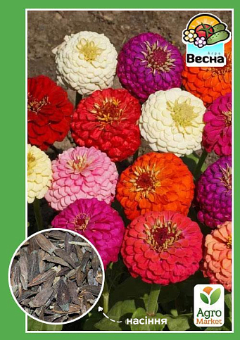 Цинния "Лилипут смесь" ТМ "Весна" 0.4г