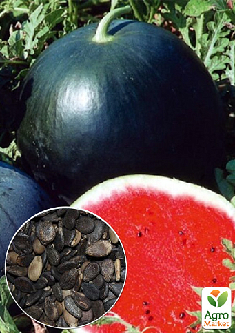 На вагу Кавун "Страйк" ТМ "Весна" ціна за 6г