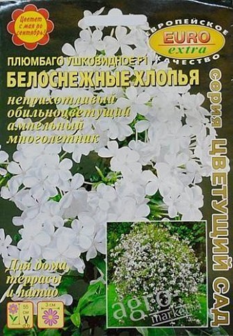 Плюмбаго ушковидное F1 "Белоснежные хлопья" ТМ "Аэлита"