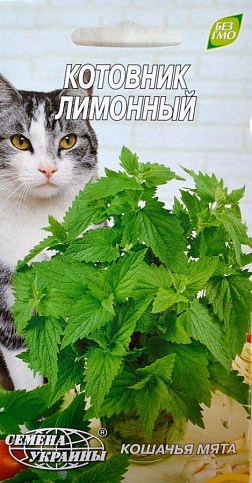 Котовник "Лимонний" ТМ Насіння України" 0.1г