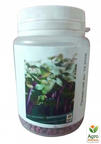 Мікрозелень "Редис" (у банці) ТМ "Твоя Зелена Весна" 20г - фото 2