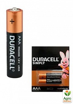 Батарейка Duracell Simply AAA (LR03) 1,5V лужна мініпальчикова (мізинчикова) (2 шт)2