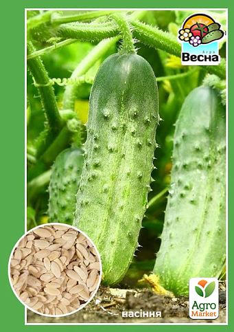 Огірок "Роднічок F1" ТМ "Весна" 0.5г