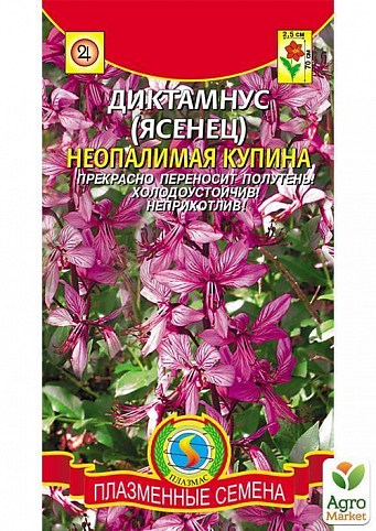 Діктамнус (Ясенець) "Неопалима Купина" ТМ "Плазмові насіння" 5шт