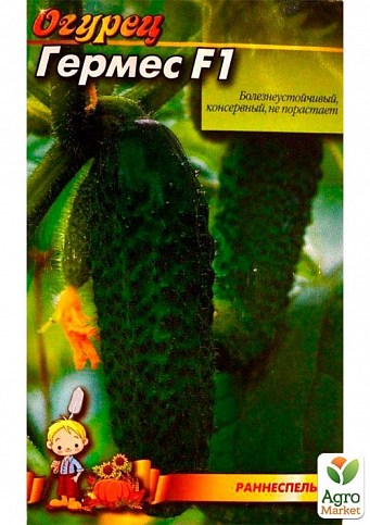 Огірок "Гермес F1" ТМ "Весна" 0.5г - фото 2