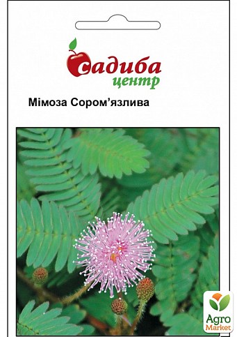 Мімоза «Сором'язлива» ТМ «Садиба центр» 0.2г