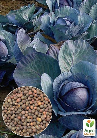 На развес Капуста краснокочанная "Топаз" ТМ "Весна" цена за 2г