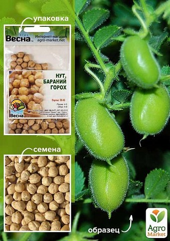 Нут (бараний горох) (зипер) ТМ "Весна" 30г