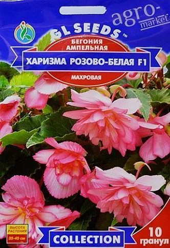Бегония ампельная "Харизма розово-белая F1" ТМ "GL Seeds" 10шт