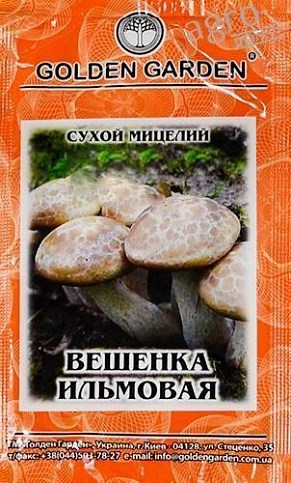 Сухий міцелій "Глива ільмових" ТМ "Golden Garden" 10г