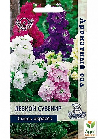 Левкой "Сувенир" смесь ТМ "Поиск" 10шт