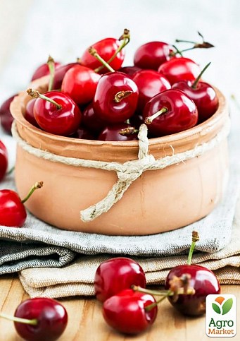 Уценка!!! Вишня в ассортименте