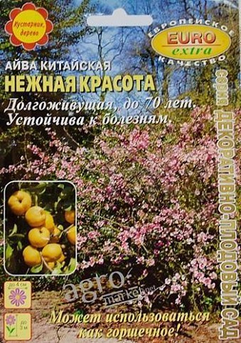 Айва китайская "Нежная красота" ТМ "Аэлита" 5шт