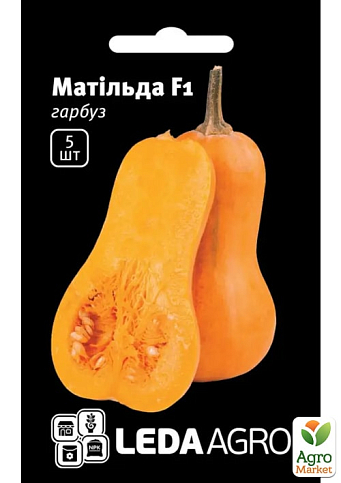 Тыква "Матильда F1" ТМ "Leda Agro" 5шт