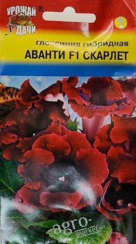 Глоксиния "Аванти F1 Скарлет" ТМ "Урожай у дачи" 3шт