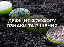 Фосфорні добрива – внесення і застосування | Agro-market