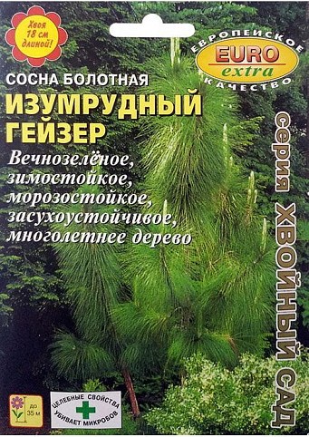 Сосна болотная "Изумрудный гейзер" ТМ "Аэлита" 0.5г NEW