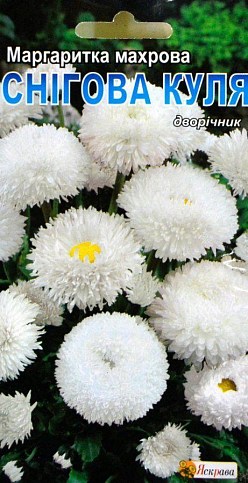 Маргаритка "Сніжна куля" двулетник ТМ "Яскрава" 0.1г