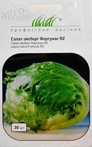 Салат айсберг "Фортунас RZ" ТМ "Hem Zaden" 30шт